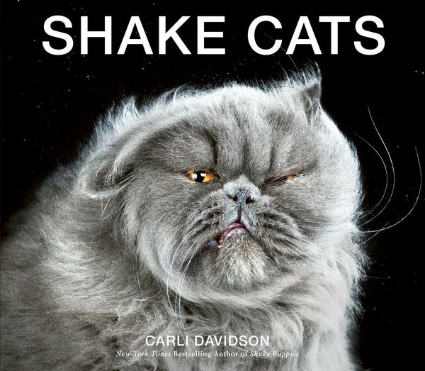 Produktbild: Shake Cats