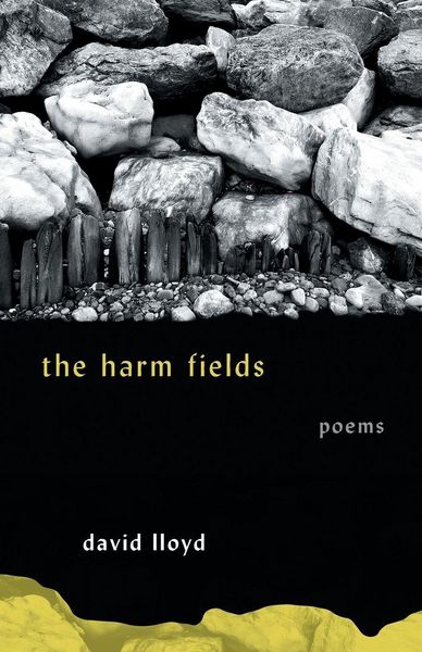 Produktbild: The Harm Fields