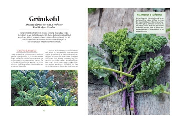 Produktbild: Der Survival-Garten - Gem&uuml;se- und Obstsorten, die allen Widrigkeiten trotzen