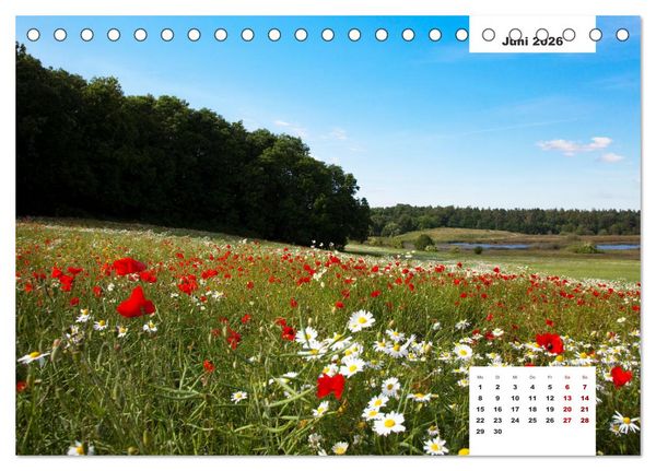 Produktbild: R&uuml;gen Panorama (Tischkalender 2026 DIN A5 quer), CALVENDO Monatskalender