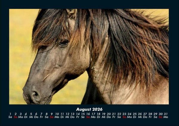 Produktbild: Die Welt der Pferde 2026 Fotokalender DIN A4