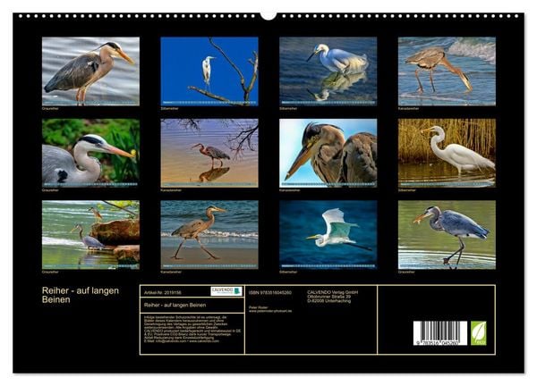 Produktbild: Reiher - auf langen Beinen (hochwertiger Premium Wandkalender 2026 DIN A2 quer), Kunstdruck in Hochglanz