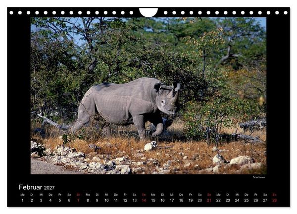 Produktbild: Wildtiere im Etosha Nationalpark (Wandkalender 2027 DIN A4 quer), CALVENDO Monatskalender
