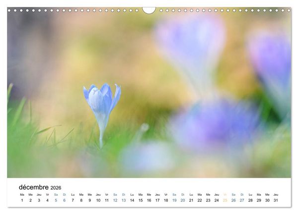 Produktbild: Fleurs po&eacute;tiques (Calendrier mural 2026 DIN A3 vertical), CALVENDO calendrier mensuel