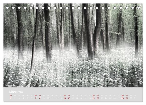 Produktbild: Im Lichtglanz der Jahreszeiten (Tischkalender 2026 DIN A5 quer), CALVENDO Monatskalender