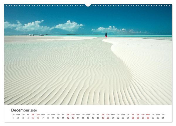 Produktbild: Caribbean beaches and the shades of blue (High Quality Premium Wall Calendar 2026 DIN A2 landscape),CALVENDO 12 Month Wall Calendar