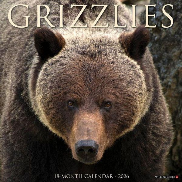 Produktbild: Grizzlies 2026 Wall Calendar