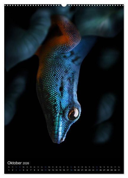 Produktbild: Auge in Auge mit coolen Typen - REPTILIEN (hochwertiger Premium Wandkalender 2026 DIN A2 hoch), Kunstdruck in Hochglanz