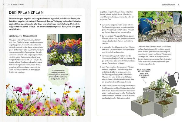 Produktbild: Samenwunder