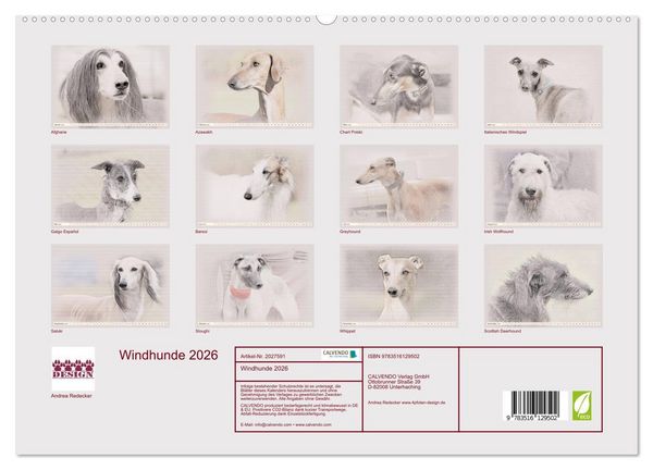 Produktbild: Windhunde 2026 (hochwertiger Premium Wandkalender 2026 DIN A2 quer), Kunstdruck in Hochglanz
