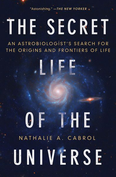 Produktbild: The Secret Life of the Universe
