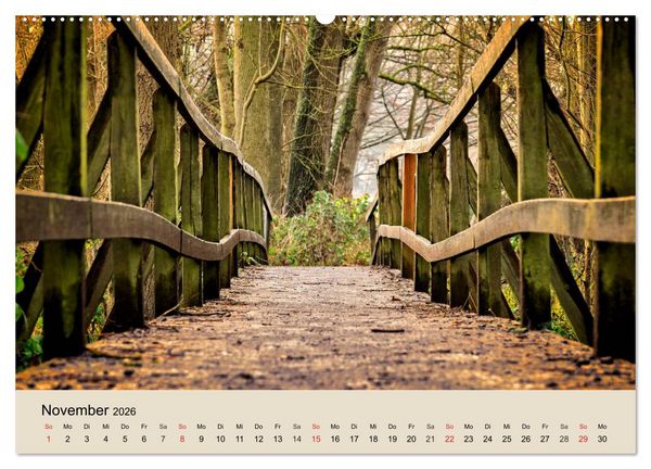 Produktbild: Der Wald. Durch zauberhafte Waldlandschaften (Wandkalender 2026 DIN A2 quer), CALVENDO Monatskalender