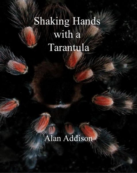 Produktbild: Shaking Hands with a Tarantula