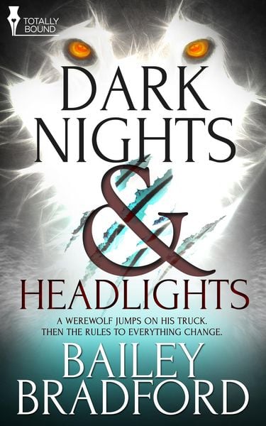 Produktbild: Dark Nights and Headlights