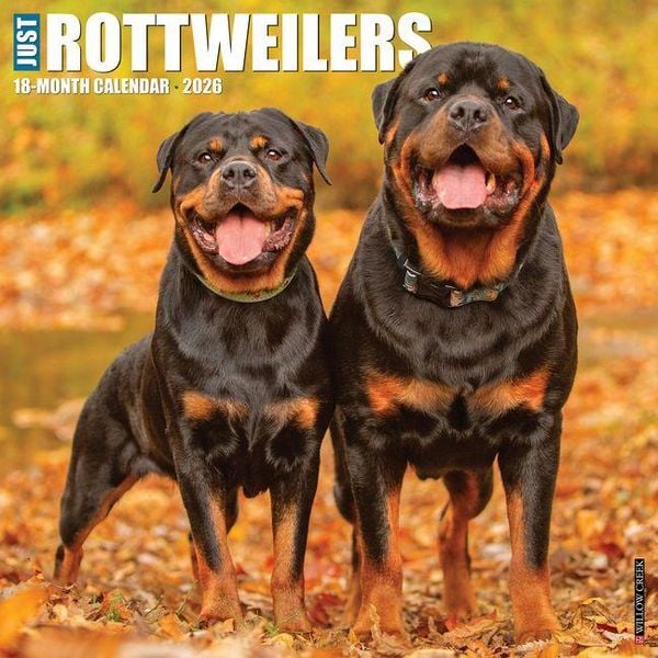 Produktbild: Rottweilers 2026 Wall Calendar