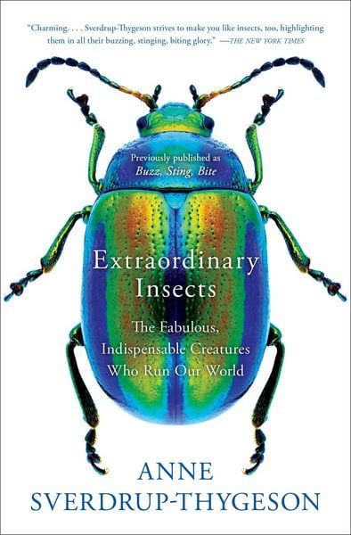 Produktbild: Extraordinary Insects