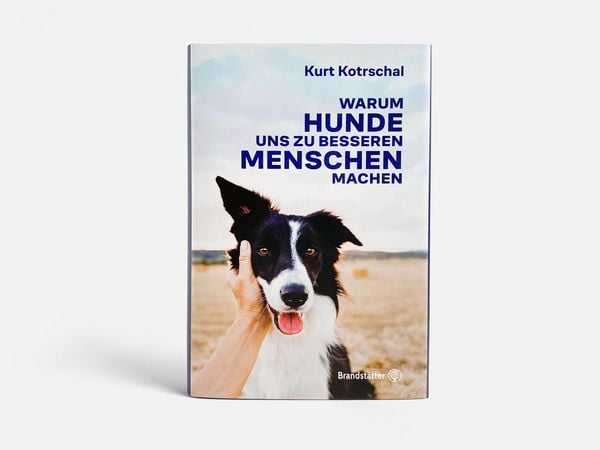 Produktbild: Warum Hunde uns zu besseren Menschen machen
