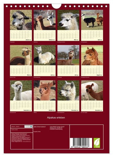 Produktbild: Alpakas erleben (Wandkalender 2026 DIN A4 hoch), CALVENDO Monatskalender