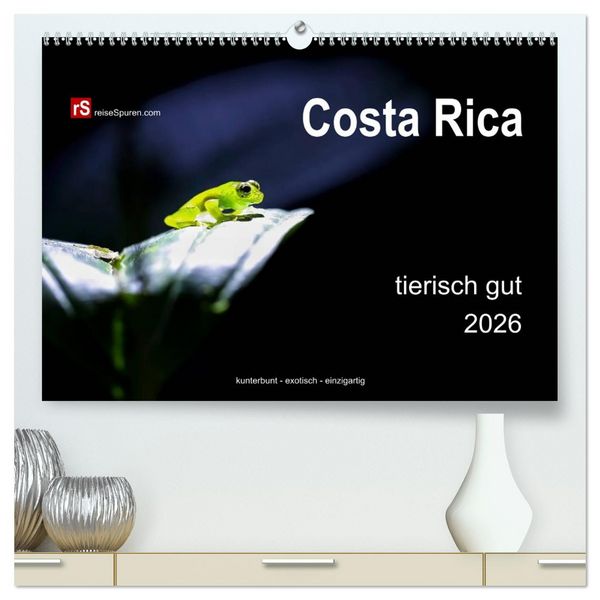 Produktbild: Costa Rica tierisch gut 2026 (hochwertiger Premium Wandkalender 2026 DIN A2 quer), Kunstdruck in Hochglanz