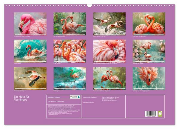 Produktbild: Ein Herz f&uuml;r Flamingos (Wandkalender 2026 DIN A2 quer), CALVENDO Monatskalender