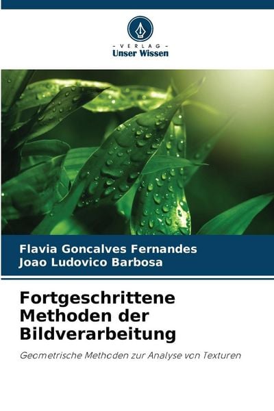 Fortgeschrittene Methoden der Bildverarbeitung, Taschenbuch von Flávia Gonçalves Fernandes , João Ludovico Barbosa, Verlag Unser Wissen, 9786207409013