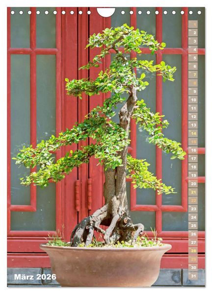 Produktbild: Bonsai: Gartenkunst im Kleinen (Wandkalender 2026 DIN A4 hoch), CALVENDO Monatskalender