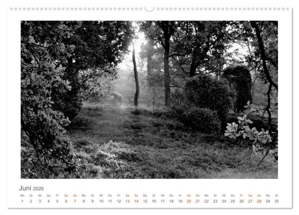Produktbild: Quo Vadis? W&auml;lder und Wege in der R&ouml;hn, L&uuml;neburger Heide und der Mecklenburgischen Seenplatte (Wandkalender 2026 DIN A2 quer), CALVENDO Monatskalender