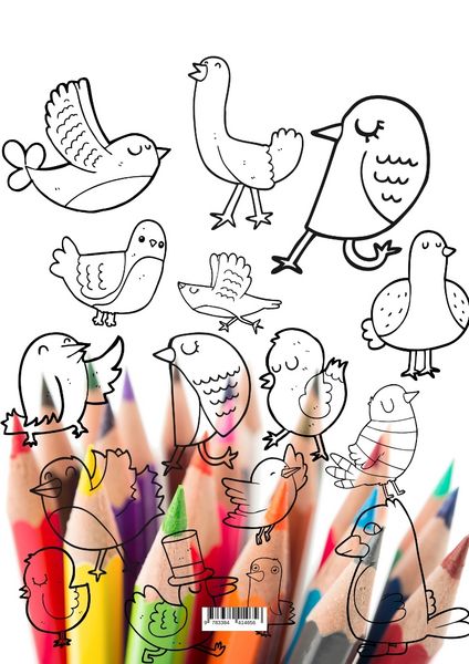 Produktbild: Funny Bird Coloring Book