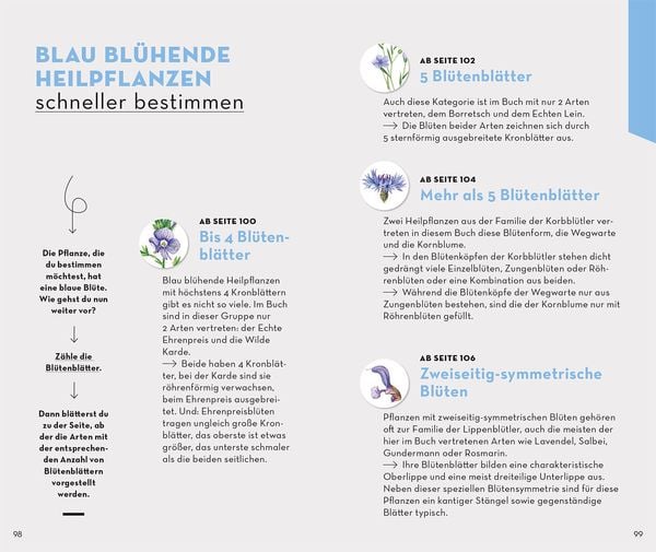 Produktbild: Basic Heilpflanzen