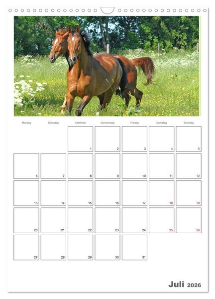 Produktbild: Pferde - Kameraden mit vier Hufen (Wandkalender 2026 DIN A3 hoch), CALVENDO Monatskalender