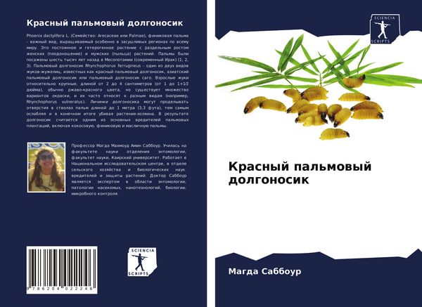 Produktbild: Krasnyj pal'mowyj dolgonosik