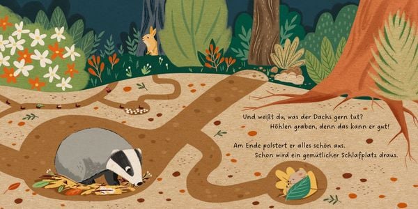Produktbild: Meine Waldfreunde. Der kleine Dachs
