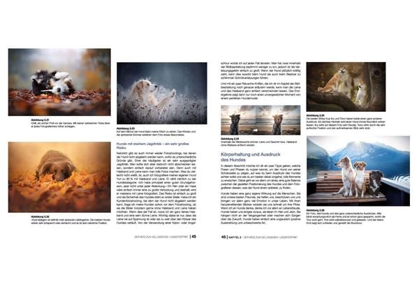 Produktbild: Hundefotografie
