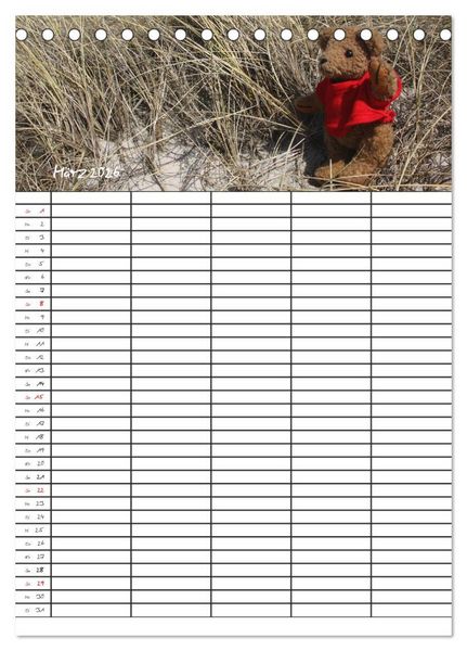 Produktbild: Der Teddyb&auml;ren-Familienplaner (Tischkalender 2026 DIN A5 hoch), CALVENDO Monatskalender