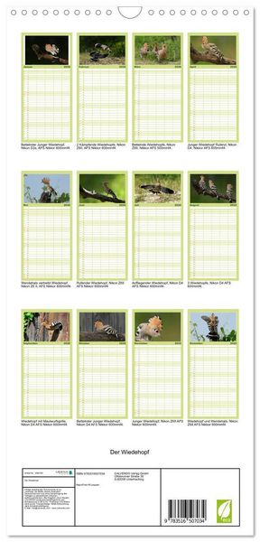 Produktbild: Familienplaner 2026 - Der Wiedehopf mit 5 Spalten (Wandkalender, 21 x 45 cm) CALVENDO