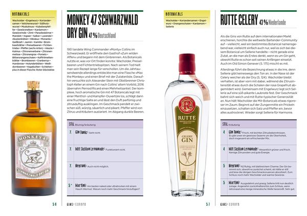 Produktbild: How to drink Gin