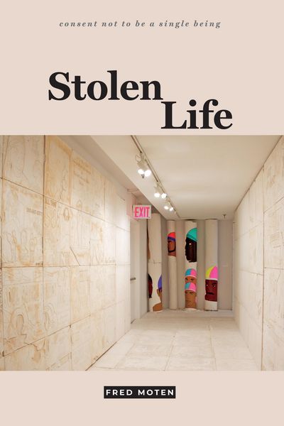 Produktbild: Stolen Life
