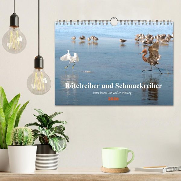 Produktbild: R&ouml;telreiher und Schmuckreiher (Wandkalender 2026 DIN A4 quer), CALVENDO Monatskalender