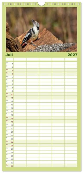 Produktbild: Familienplaner 2027 - Der Kernbei&szlig;er und seine gefiederten Gesellen mit 5 Spalten (Wandkalender, 21 x 45 cm) CALVENDO