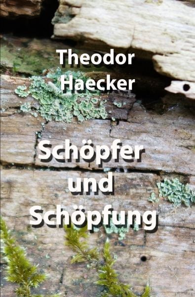 Schöpfer und Schöpfung, Taschenbuch von Theodor Haecker, Epubli, 9783754151020