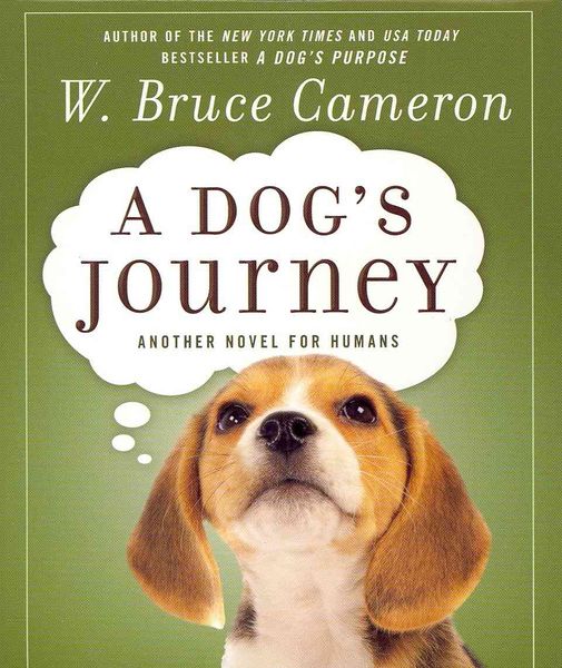 Produktbild: DOGS JOURNEY                8D