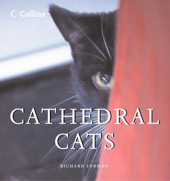 Produktbild: Cathedral Cats