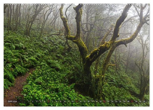 Produktbild: La Isla de La Gomera - Wilde Sch&ouml;nheit im Atlantik (hochwertiger Premium Wandkalender 2026 DIN A2 quer), Kunstdruck in Hochglanz