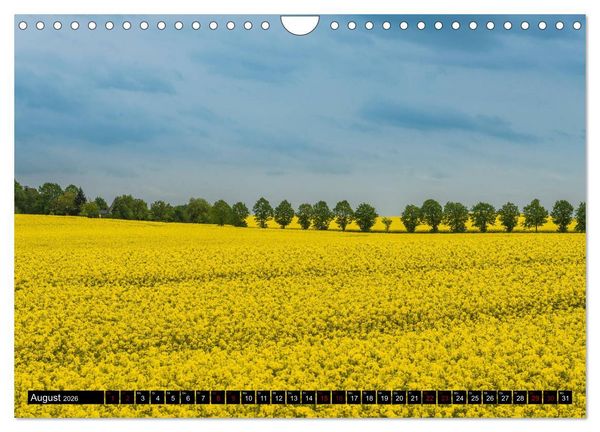 Produktbild: Ostsee - Boltenhagen (Wandkalender 2026 DIN A4 quer), CALVENDO Monatskalender