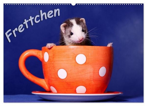 Produktbild: Frettchen - Ferrets (Wandkalender 2027 DIN A2 quer), CALVENDO Monatskalender