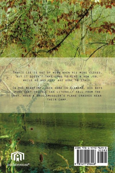 Produktbild: Plane Crash at Buck Creek