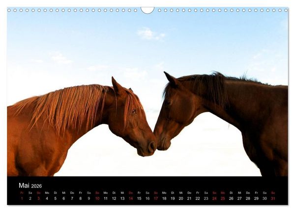 Produktbild: Wilde Pferde (Wandkalender 2026 DIN A3 quer), CALVENDO Monatskalender