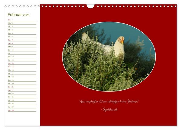 Produktbild: Freilaufende H&uuml;hner (Wandkalender 2026 DIN A3 quer), CALVENDO Monatskalender