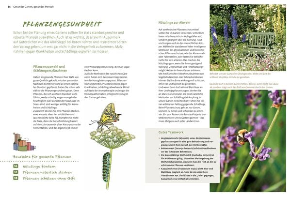 Naturgarten ganz einfach