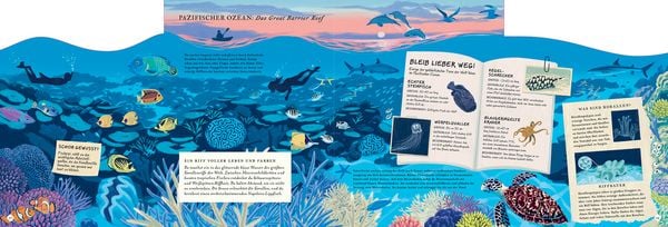 Produktbild: Erkunde den Ozean in diesem Buch
